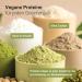 Raab Vitalfood Bio Protein Shake Poudre verte (360 g) Smoothie vert avec herbe d'orge herbe de bl et matcha 60% de prot ines m lange de prot ines de pois et de chanvre v g talien bio - Buy Online on GoSupps.com