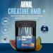 Animal Creatine HMB Powder 5g Creatine + 3g myHMB with Electrolytes for Lean Muscle Recovery & Daily Energy Power Punch Flavor 30 Servings Power Punch 12.06 Ounce (Pack of 1) - Buy Online on GoSupps.com