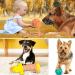 Mulevip 20 PCs Dog Toy Set - Interactive Rope Toys & Chew Balls for All Dog Sizes | Durable & Engaging Pet Play - Buy Online on GoSupps.com