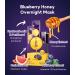 FRUDIA WELCOS Blueberry Honey Overnight Face Mask | Hydrating Korean Skin Care | Pack of 20 for Parched Skin - Buy Online on GoSupps.com