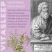 Vitaherbs Valerian Tablets 2000mg - 30 Vegan Tablets | High Strength Valerian Root Extract | Premium Quality | Made in UK - Buy Online on GoSupps.com