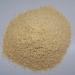 Buy Mill-Fresh Wheat Germ 500g | 100% Natural & Untreated | R tze Mill | Premium Quality - Buy Online on GoSupps.com