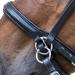 WALDHAUSEN Star Bitless Bridle for Ponies - Premium Quality Black Equestrian Gear | International Shipping - Buy Online on GoSupps.com