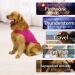 Cattamao Comfort Dog Authority - Fear Relief for Dogs (L Rose) | Thunderstorms Fireworks & Travel Solution - Buy Online on GoSupps.com