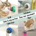 6-Piece Silvervine Catnip Wall Balls - Edible, Rotatable, and Safe Cat Treat Toys with 3 Flavors for Teeth Cleaning and Biting - Buy Online on GoSupps.com