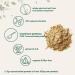 Sustainably US Grown Organic Cordyceps Mushroom Extract Powder - 1.6 oz (30% Polysaccharides, Cordycepic Acid) - Energy & Immune Support - Buy Online on GoSupps.com