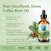 Bella Terra Oils - Green Coffee Bean Oil 16 oz - Dive into the World of Green Bean Coffee Extract Boosted with Antioxidants Supreme Skin Care Elixir 16 Fl Oz (Pack of 1) - Buy Online on GoSupps.com