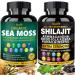 Bualle Sea Moss and Shilajit Bundle-Sea Moss 300mg,Black Seed Oil 100mg,Ashwagandha 50mg,Ginger & Shilajit 300mg,Rhodiola Rosea 100mg,Panax Ginseng 50mg,All in 1 Supplements-USA Made(2 Pack) 60 Count (Pack of 2) Sea Moss Sh