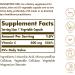 Solgar Vitamin C 500 mg - 250 Vegetable Capsules | Immune Support & Antioxidant - Buy Online on GoSupps.com