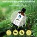 Balsam Fir Needle Essential Oil - 30ml | Scent Oil for Home Crafts & Holiday Aromatherapy - Buy Online on GoSupps.com