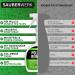 Upholstered Cleaner Sofa & Car Seat Cleaner XXL (750ml) - Universal Stain Remover & Mattress Textile Cleaner - Effective Made in Germany - Buy Online on GoSupps.com