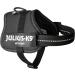 K9 Powerharness 2XS/Baby 2 in Black - Premium Dog Harness for Ultimate Comfort and Control - Buy Online on GoSupps.com