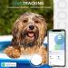 GPS Dog Tracker Mini GPS Tracker Device with Dogs Collar No Monthly Fees Real-Time Location Tracking Works with Apple Find My (iOS Only) IP68 Waterproof Pet Tracker Anti Lost for Dog 1 Pack Black - Buy Online on GoSupps.com