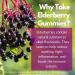 Herman Organic Zinc Elderberry Gummies with Vitamin C - Immune Support Supplements for Adults - Gummy Vitamins for Women and Men - Buy Online on GoSupps.com
