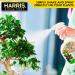 Harris Neem Oil Spray for Plants - Cold Pressed 20oz (Ready to Use) - Natural Pest Control Solution - Buy Online on GoSupps.com