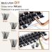 Lash Clusters Ribbon 160 D Curl Individual Lashes DIY Extensions Mega Volume with Applicator Tool & Scissors | B&Q LASH (B03+B05 10-16MIX) - Buy Online on GoSupps.com