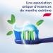 Signal Toothpaste Gel Mint Plus Extreme 100ml - Buy Online on GoSupps.com