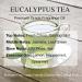 Daniella's Candles Eucalyptus Tea Scent Oil Premium Grade Fragrance Oil for Aroma Diffuser Bath and Body Products Incense Soap Candle Making Long Lasting Stress Relief - 1 fl.oz/ 30ml Eucalyptus Tea 1 Fl Oz (Pack of 1) - Buy Online on GoSupps.com