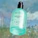 Pacifica Montana Sky Spray Perfume Fragrances Grounding Cedarwood Elderflower Black Pepper Sandalwood Clean Perfume Parfum Eau de Toilette Vegan & Cruelty-Free Dermatologist Tested Cedar 2 Fl Oz (Pack of 1) - Buy Online on GoSupps.com