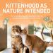 Beyond Natural Dry Kitten Food Chicken & Oat Meal - 1.36 kg Bag - Buy Online on GoSupps.com