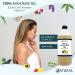 Zatural 100% Pure Virgin Avocado Oil - Cold Pressed, Non-GMO, Vegan - 32oz for Cooking, Frying, Baking, Sauces, Dressings - 1 Pack - Buy Online on GoSupps.com