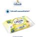 Cottonelle Kids Moist Toilet Paper - Fruity Fresh Biodegradable & Plastic-Free Advantage Pack 12x42 Wipes | Shop Internationally - Buy Online on GoSupps.com