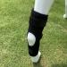 Dog Rear Leg Brace Prevent Licking Fixing Strap Spring Support Canine Rear Hock Support Pet Protective Gear for Leg Wounds Injuries Helps with Loss of Stability(XL) - Buy Online on GoSupps.com