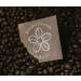 Roasted Coffee Beans - Medium Grind - Vietnamese (Blossom Blend Medium Grind 250) Blossom Blend Medium Grind 250 g (Pack of 1) - Buy Online on GoSupps.com