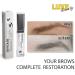 Luxe Beauty Brows Eyebrow Growth Serum for Men and Women - Peptide Complex 0.23 Oz/ 7 Ml - Buy Online on GoSupps.com