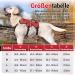 Rabbitgoo Medium Dog Harness - Break-Proof Adjustable Breathable & Padded Vest for Safety | Ideal for Training | Red (1 Pack) - Buy Online on GoSupps.com