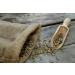 Buy 100g Top Quality Arabica Green Coffee Beans - Raw Green Coffee for Exceptional Flavor - Buy Online on GoSupps.com