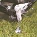 Guardian Bell Motorcycle Biker Luck Gremlin Riding Bell Hanger - Original Version (Standard, Silver) - Buy Online on GoSupps.com