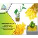 ARSUK Yellow Glass Pebbles - Decorative Stones for Vase Filler, Aquarium, Mosaic Tiles - 70-80pcs - Buy Online on GoSupps.com