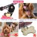 2-Piece Dog Brand Bag with Push Button | Military Dog ID Silencer Ring & Address Tag for Dogs & Cats | Rose Red Bone Paw Design - Buy Online on GoSupps.com