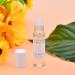 Somethin Special Coconut Coast Perfume Roll On .33oz/10ml - Tropical Beach Scent - Vegan + Cruelty-Free - Buy Online on GoSupps.com