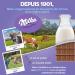 Milka Choco Moo - Milk Chocolate Covered Biscuit - Display of 24 Packets (40g) - Buy Online on GoSupps.com