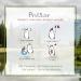 Polaar Revitalizing Polar Night Mask with Boreal Algae - 50ml | Anti-Aging Sleeping Cream | Natural Regenerating Night Care for Moisture & Beauty - Buy Online on GoSupps.com