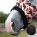 Harrison Howard Soft Fleece Stretchy Horse Head Hood with Zipper - Comfortable All-Covered Design in Classic Leopard M - Buy Online on GoSupps.com