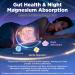 Magnesium 12 in 1 Complex, Magnesium Complex Gummies 500mg Supplement for Women Men, Chelated Calm Sleep Magnesium Glycinate Citrate Malate w/L-Theanine Ashwagandha Pre & Pro for Muscle & Gut, 120Ct - Buy Online on GoSupps.com