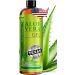 Organic Aloe Vera Gel with Pure Aloe From Freshly Cut Aloe Plant, Not Powder - No Xanthan, So It Absorbs Rapidly With No Sticky Residue - Big 12 oz 12 Ounce (Pack of 1)