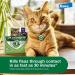 Advantage XD Long-Lasting Flea Prevention for Large Cats | 2 Pack - Over 9 lbs - Buy Online on GoSupps.com