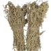 AgoraMarket Dried Wormwood Bunches of Mugwort 85g 195Kg Premium Quality Artemisia Absinthium 220 grams - Buy Online on GoSupps.com