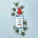 THAYERS Antioxidant Pomegranate Acai Facial Mist - 4 Ounce (Pack of 1) - Buy Online on GoSupps.com