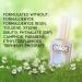 Buy Color Club Halographic Hues Nail Polish - Multicolored Harp On It 0.5 Fl Oz - International Shipping Available - Buy Online on GoSupps.com