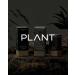 RAWGAPLANT Vegan Collagen with Biotin - Plant-Based Liquid Supplement (10.58oz, 15 Sticks) | Low-Molecule Formula, Lemon Flavor - Buy Online on GoSupps.com