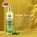 African Pride Olive Miracle 2-in-1 Shampoo & Conditioner (3 Pack, 12oz) with Tea Tree & Olive Oil - Buy Online on GoSupps.com
