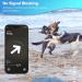 Cloudvalley Airtag Dog Collar - IPX8 Waterproof GPS Tracker for Apple Airtags - Lightweight Easy Install Anti-Loss Cover for Dogs & Cats - Buy Online on GoSupps.com