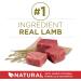 Purina ONE Dry Dog Food Lamb & Rice - 1.81 kg Bag 1.81 kg (Pack of 1) Dry Dog Food - Buy Online on GoSupps.com