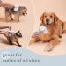 Pet Slicker Brush - Self-Cleaning Grooming Tool for Dogs & Cats - Dematting & Detangling Brush for Long & Short Hair - Cotton Blue - Buy Online on GoSupps.com