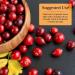 Nature's Secret Urinary Flush & Support - 60 Capsules (Pack of 2) | International Shipping Available - Buy Online on GoSupps.com